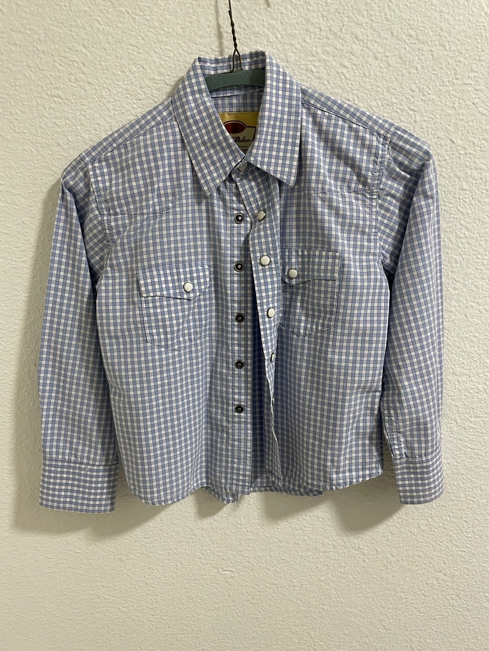 Larry Mahan pearl snap Light Blue Check Gingham Button-Down Shirt